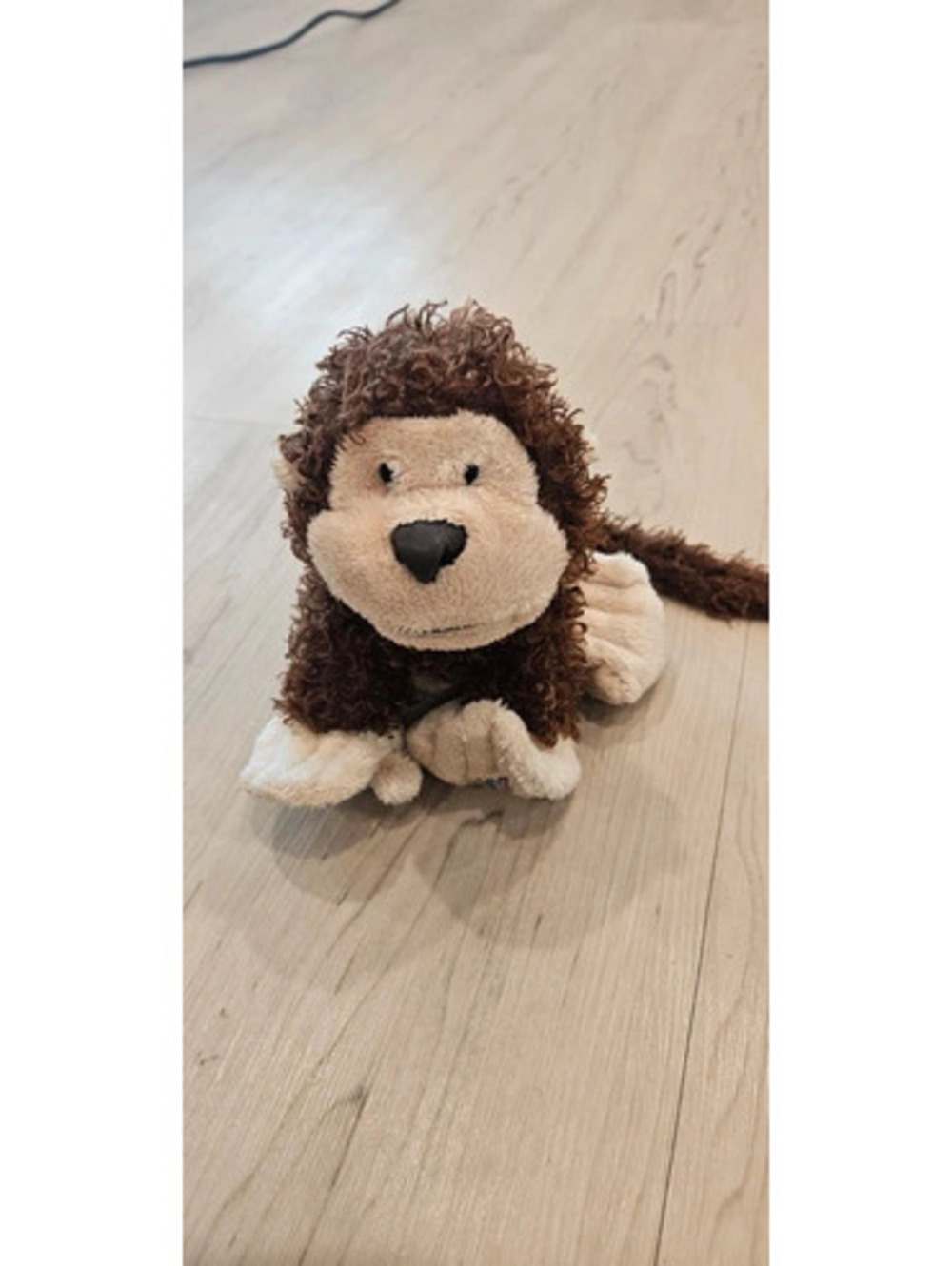 Original webkinz without the tag, monkeu